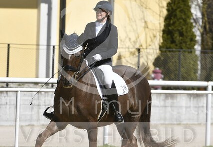 04.03-05 Stadl-Paura CDN-A*