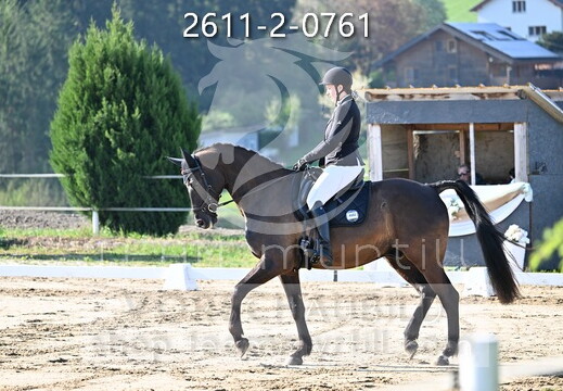 04.17-19 Ried am Riederberg CCN-A