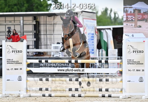 05.14-17 Pferd Wels CSN-A*