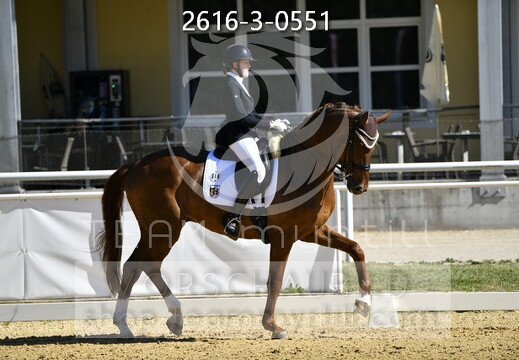 05.29-31 Stadl-Paura CDN-A*